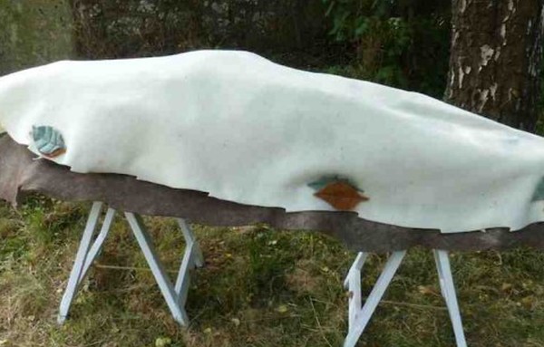 Simple Wool Felt Coffin